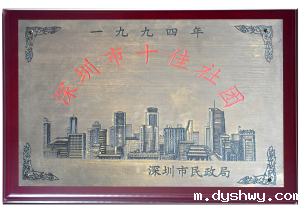 民政局颁发的“深圳市十佳社团”