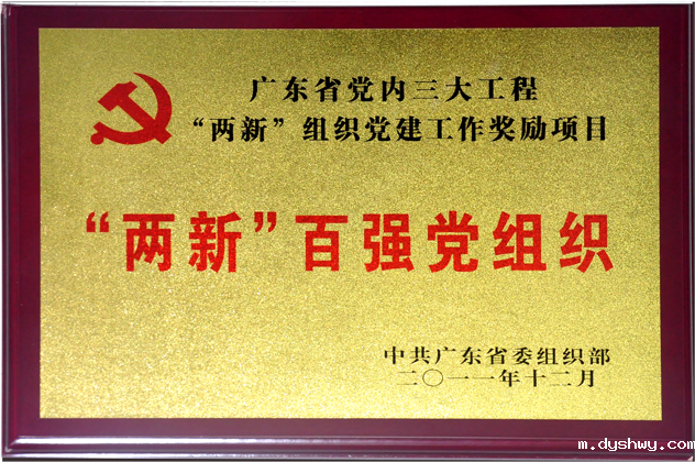 “两新”百强党组织