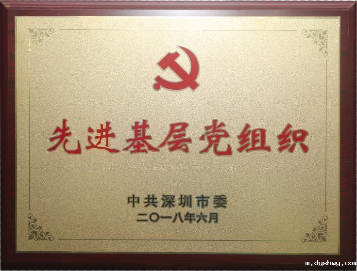 2018年6月，被中共深圳市委授予“先进基层党组织”荣誉称号