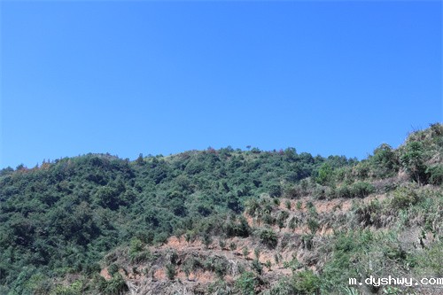 1667370471255737.jpg IMG_0289.jpg