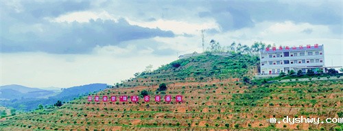 1668415375878278.jpg c9c82902c5ff5143969adc134730c51.jpg