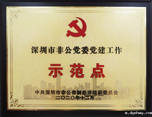 深圳市非公党委党建工作示范点