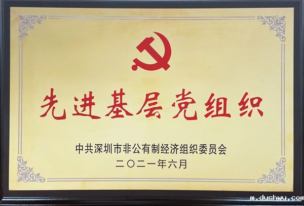 深圳市非公党委先进基层党组织